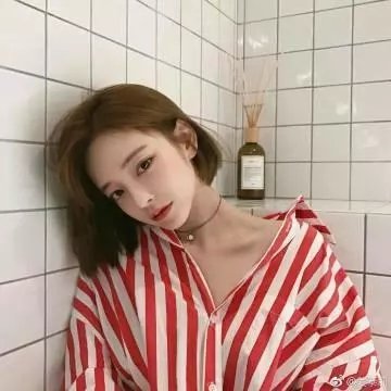 喵喵博物館